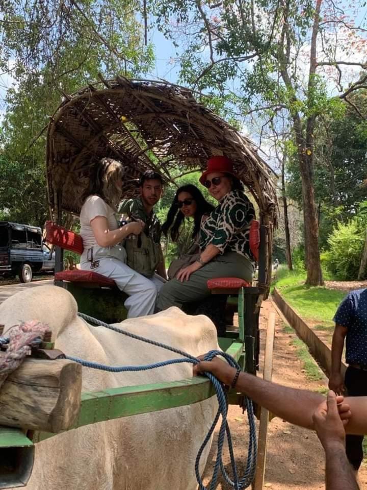 Elephant Safari Lodge Sigiriya Junction Хабарана Экстерьер фото