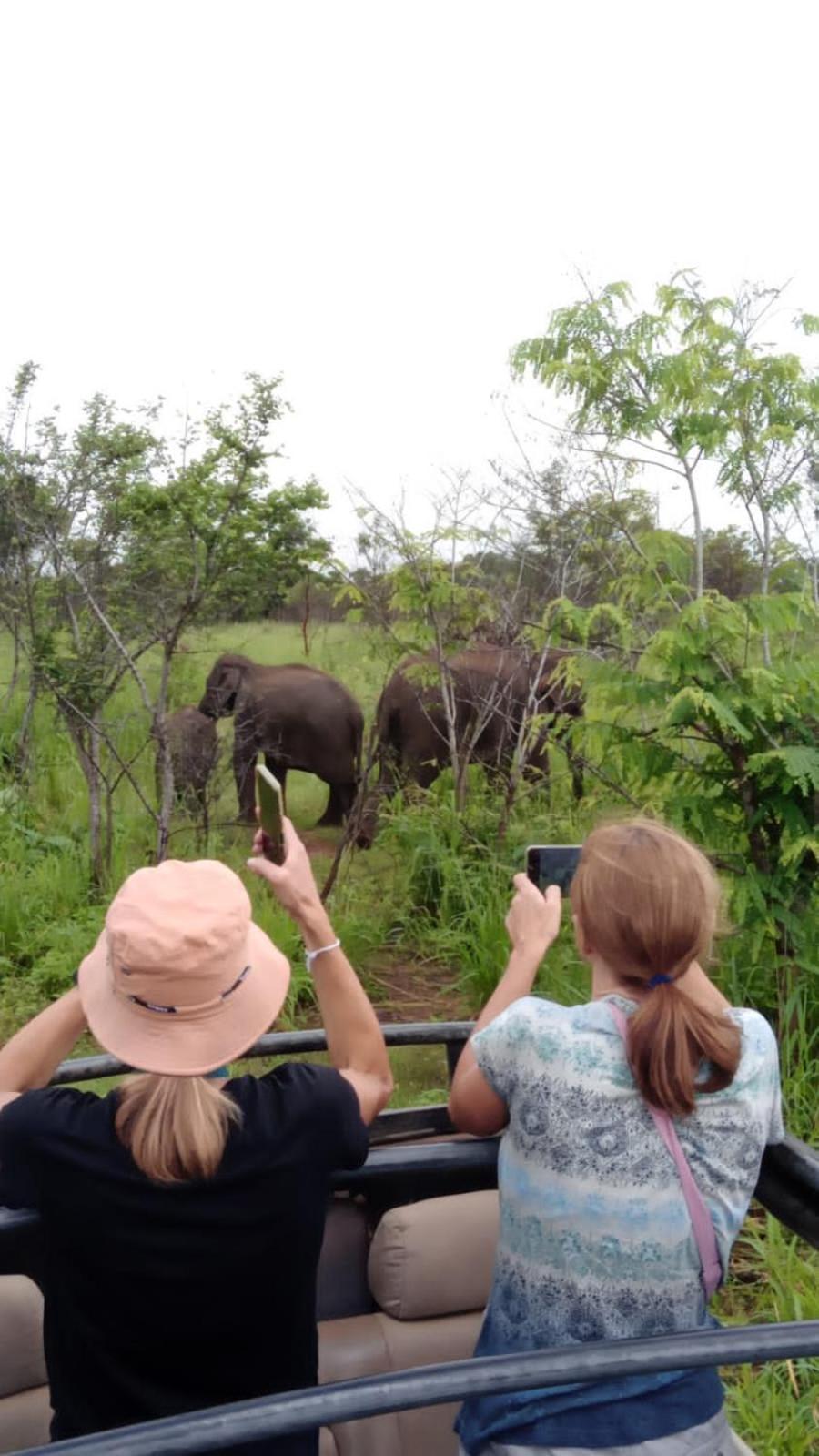 Elephant Safari Lodge Sigiriya Junction Хабарана Экстерьер фото