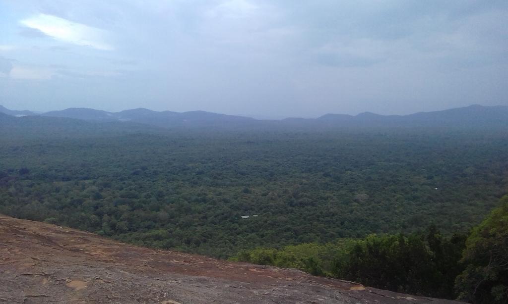Elephant Safari Lodge Sigiriya Junction Хабарана Экстерьер фото