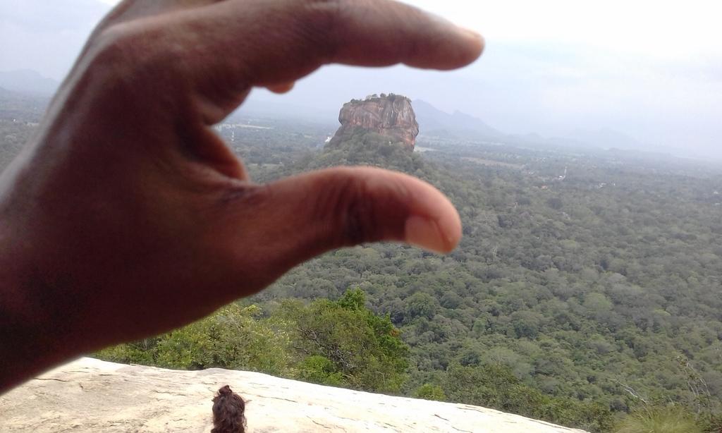 Elephant Safari Lodge Sigiriya Junction Хабарана Экстерьер фото
